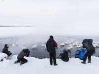 Wilde zwanen fotograferen bij een wak in het ijs. © Jeffrey Van Daele