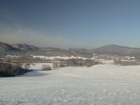 Een panorama van het open winterlandschap. © Karl Vanginderdeuren