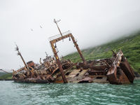 Een restant van een oude vissersvloot. © Billy Herman