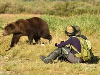 Een grizzly loopt langs enkele deelnemers. © Yves Adams