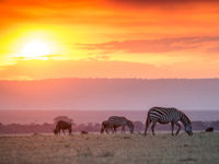 Een zonsondergang verveelt nooit in de Masai Mara. © Billy Herman