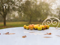 Herfst in Lac Du Der. © Billy Herman