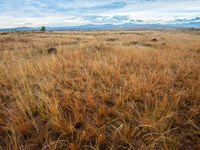 Les plaines de l'intérieur du pays sont un environnement complètement différent, avec de nombreuses spécialités. © Billy Herman