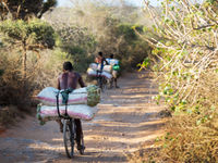 De lokale bevolking fietst door de savanne. © Samuel De Rycke