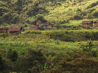 Parfois, l'observation des oiseaux en bordure des villages peut s'avérer très productive. © Samuel De Rycke