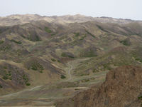 Groene lapjes bedekken de heuvels van Mongolië. © Geert Beckers