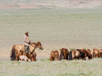 A shepherd amidst the dry plains © Geert Beckers