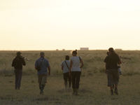 Wandering through the steppe © Geert Beckers