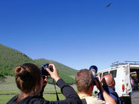 A black-eared kite flies over our camp and of course has to be registered by the cameras. © Geert Beckers