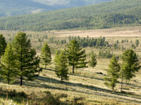 A view on the valley © Johannes Jansen