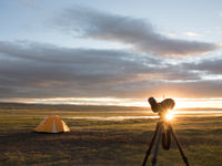 Scoping for birds on a steppe lake, right from our campsite © Johannes Jansen