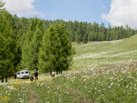 A beautiful meadow makes us even more aware of the beauty of nature. © Johannes Jansen