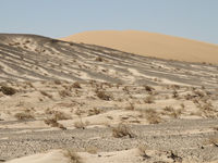 Basaltduinen zijn getuigen van de zomerdroogte in de Mongoolse steppe. © Maarten Jacobs