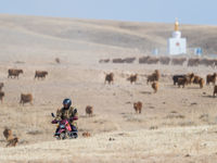 Met de brommer door de steppe. © Billy Herman