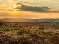 Zonsondergang in Exmoor. © Hans Debruyne