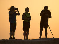 Les ornithologues scrutent les vasières au coucher du soleil. © Benny Cottele