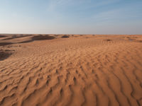 Dunes de sable. © Benny Cottele