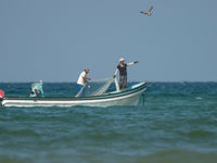 Des pêcheurs dans le golf persique. © Benny Cottele