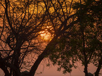 Photo d'ambiance sous le soleil couchant. © Benny Cottele