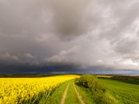 Dramatische wolken en een kleurrijke voorgrond. © Bart Heirweg