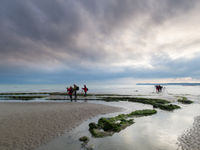 Op pad tijdens laag water. © Johan Van de Watering 