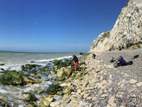 Cap Blanc-Nez met de witte kalkrotsen. © Johan Van de Watering 