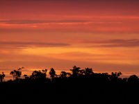 Zonsondergang boven het regenwoud. © STARLING reizen