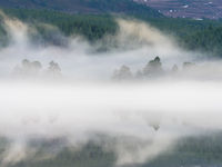 De rivieroever hult zich in een dichte mist. © Bart Heirweg