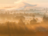 Zonneharpen op een mistige ochtend. © Bart Heirweg