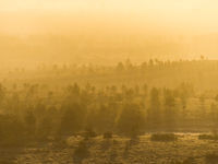 Zonsopgang in het noorden van het land. © Billy Herman