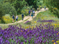 De groep wandelt doorheen de kleurrijke boomgaarden. © Billy Herman