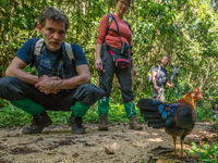 Even poseren met Sri Lanka junglefowl, letterlijk een endemische kip. © Billy Herman