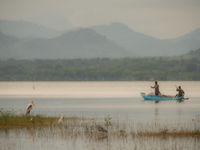 Een painted stork met vissers op de achtergrond. © Billy Herman