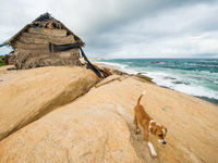 De rotsige zuidkust van Sri Lanka. © Billy Herman