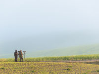 Fotografen in het landschap. © Bart Heirweg