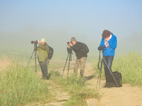 Fotografen in actie. © Bart Heirweg