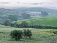 Kleinschalige akkerbouw en een beekvalleitje. © Bart Heirweg