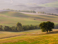 Sfeerbeeld Toscaanse platteland. © Bart Heirweg