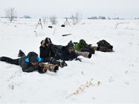 Allen samen een sneeuwuil besluipen. © Yves Adams