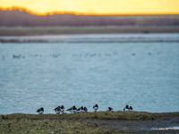 De zon gaan slapen boven de Zeeuwse polders... © Billy Herman