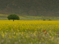 Sfeerbeeld van het landschap. © Brecht De Meulenaer