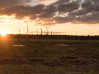 De ondergaande zon boven het hoogveen. © Brecht De Meulenaer