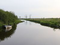 Excursion en bateau dans le Parc National Matsalu © Robin Vermylen