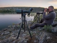 La longue-vue représente 5 à 10% du temps d'observation