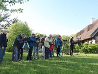 Ornithologie depuis le jardin © Robin Vermylen