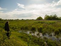 Dans le delta du Chorokhi © Johannes Jansen