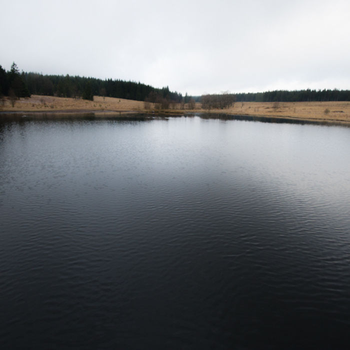 Ven met zwart water. © David 'Billy' Herman