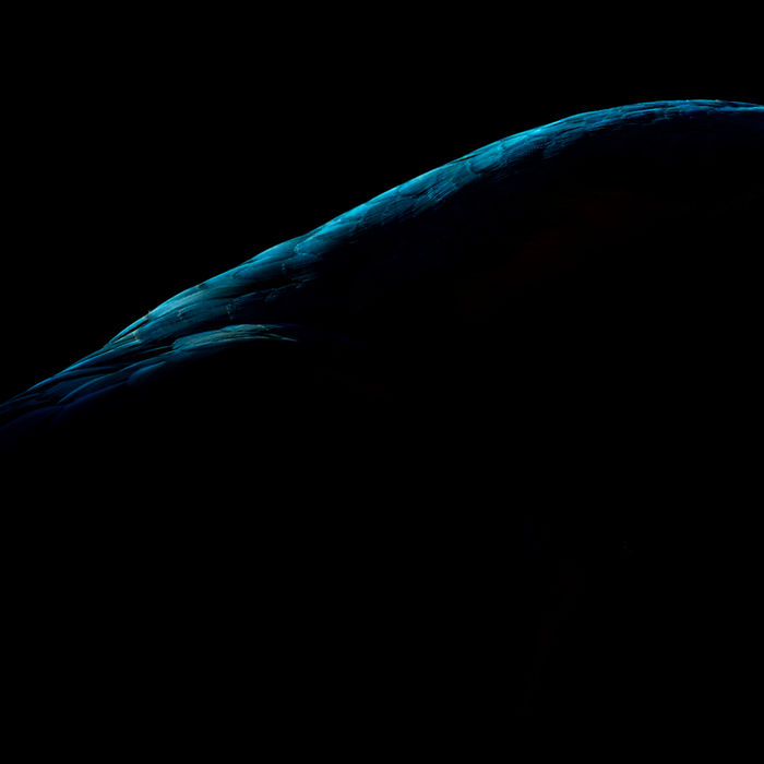 © Karl Van Ginderdeuren