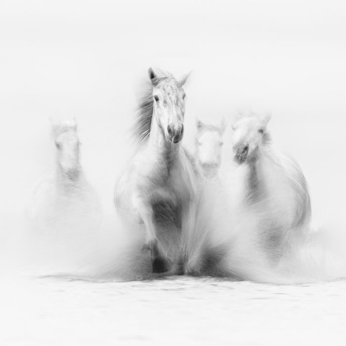 © Jeffrey Van Daele