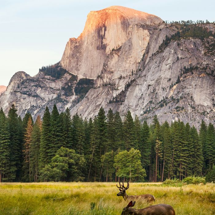 Yosemite NP (c) Johannes Andersson